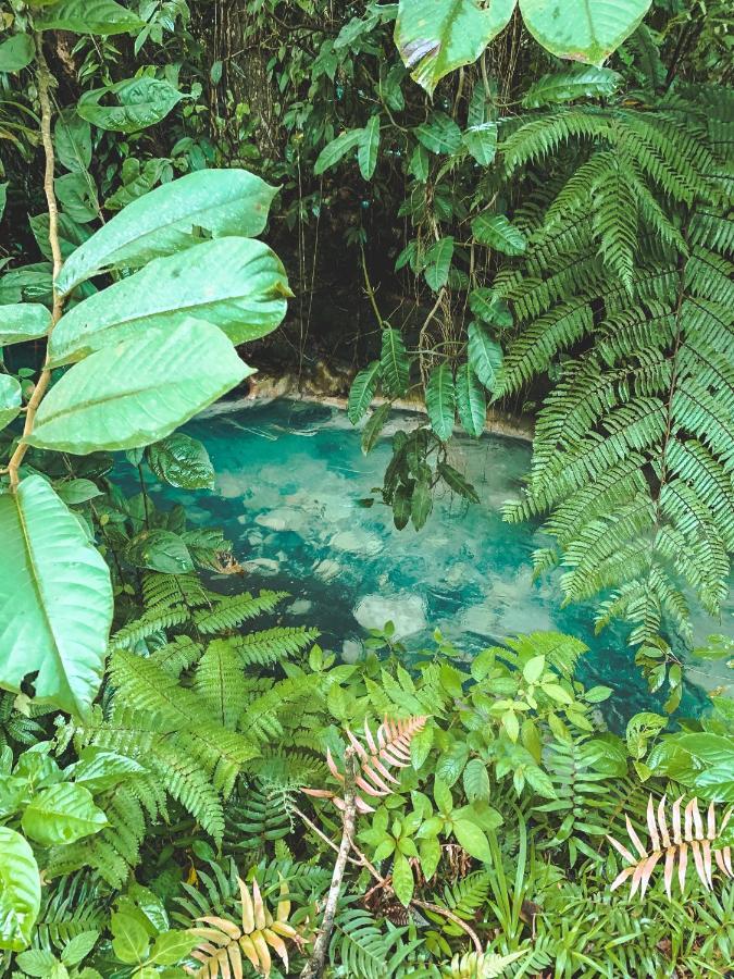 Oski Lodge, Rain Forest Rincon De La Vieja Upala 外观 照片