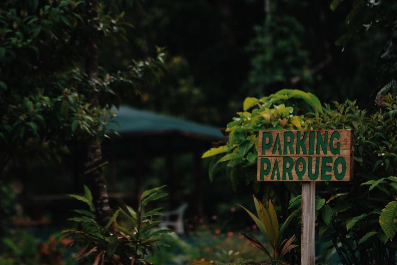Oski Lodge, Rain Forest Rincon De La Vieja Upala 外观 照片