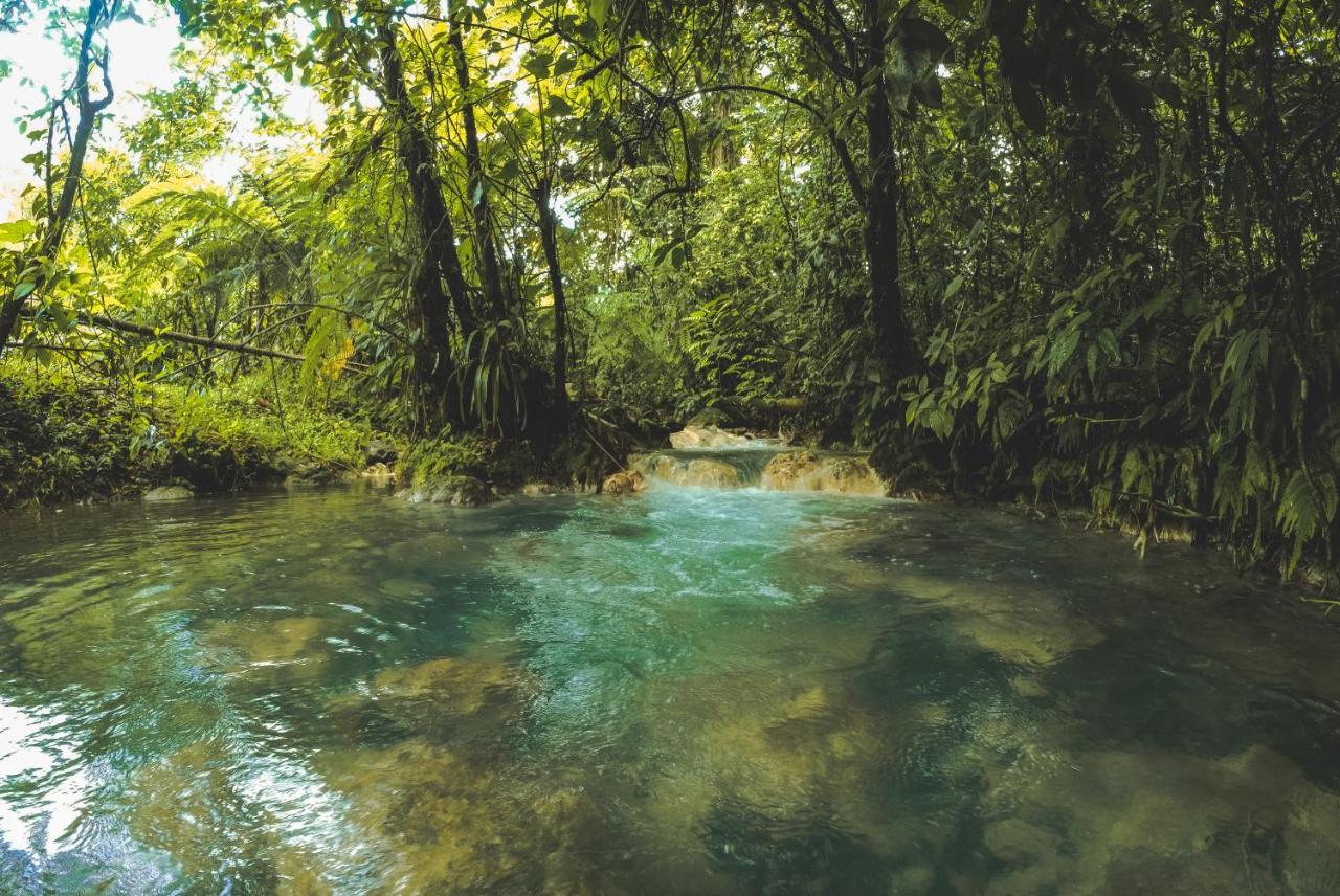 Oski Lodge, Rain Forest Rincon De La Vieja Upala 外观 照片