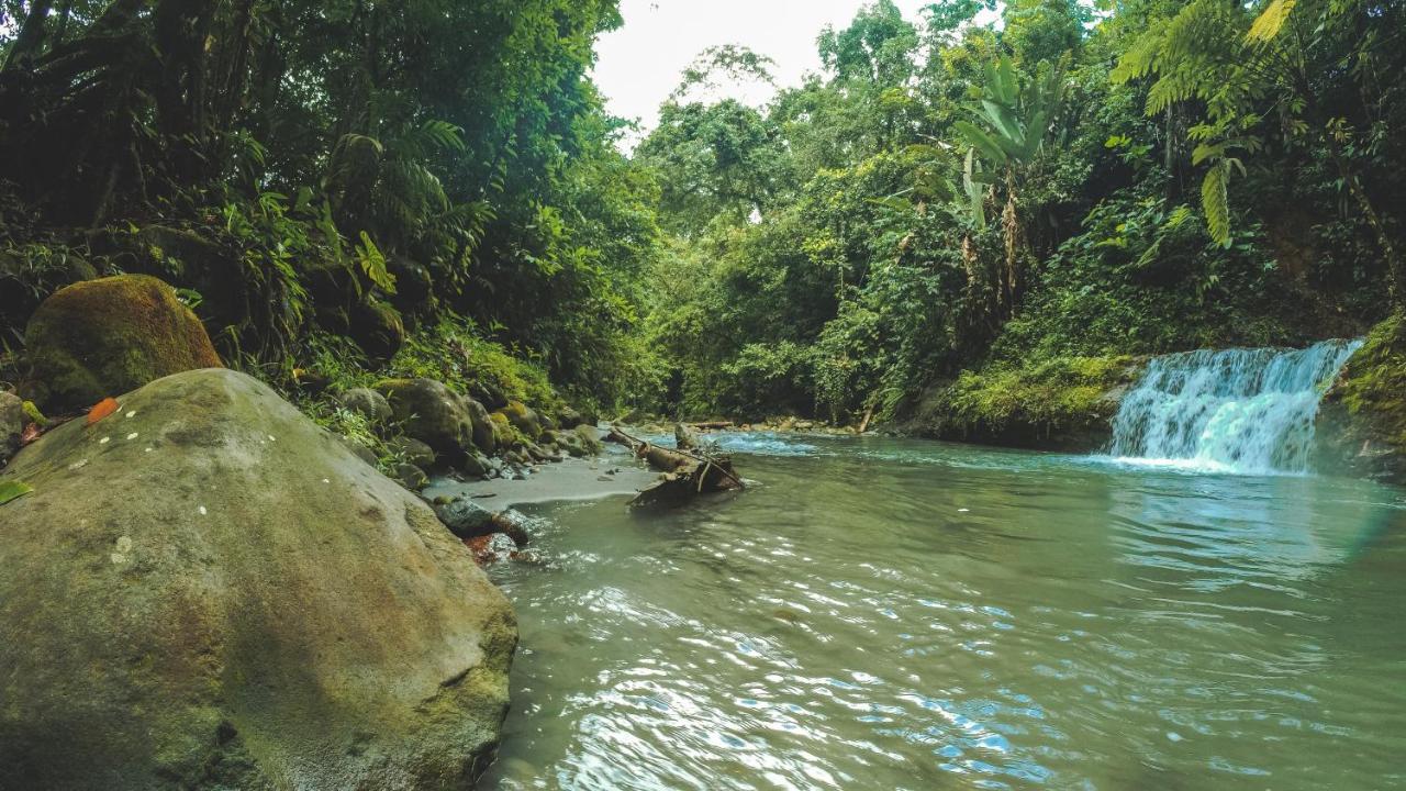 Oski Lodge, Rain Forest Rincon De La Vieja Upala 外观 照片