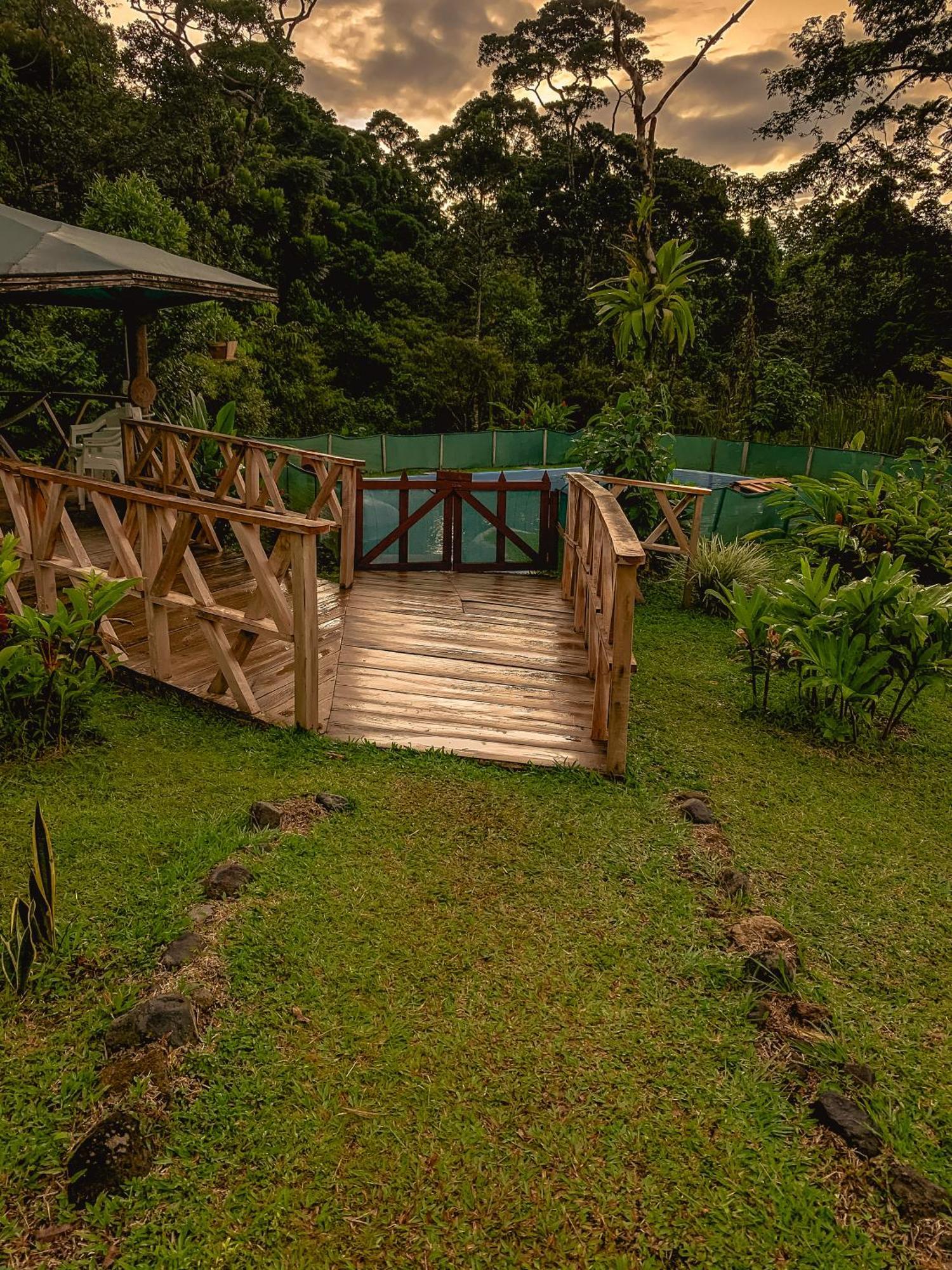 Oski Lodge, Rain Forest Rincon De La Vieja Upala 外观 照片
