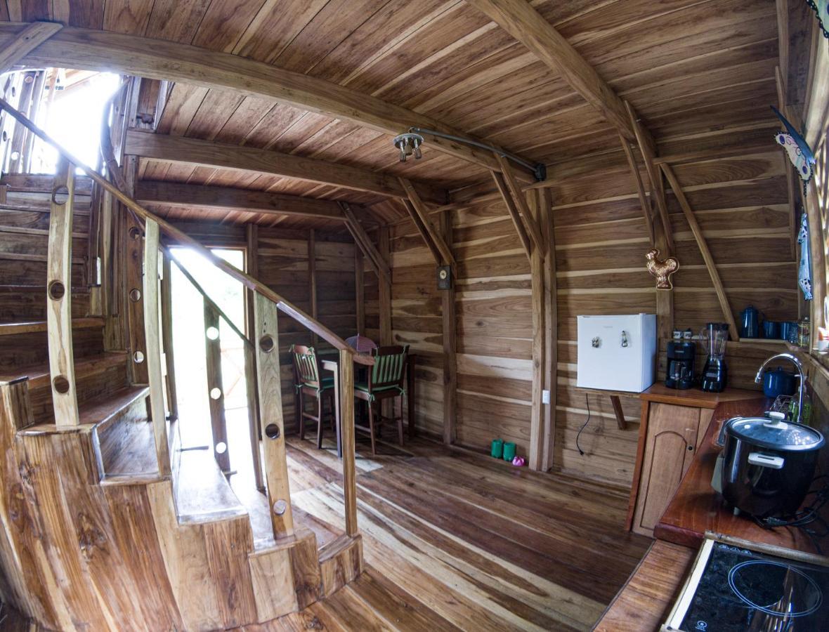 Oski Lodge, Rain Forest Rincon De La Vieja Upala 外观 照片