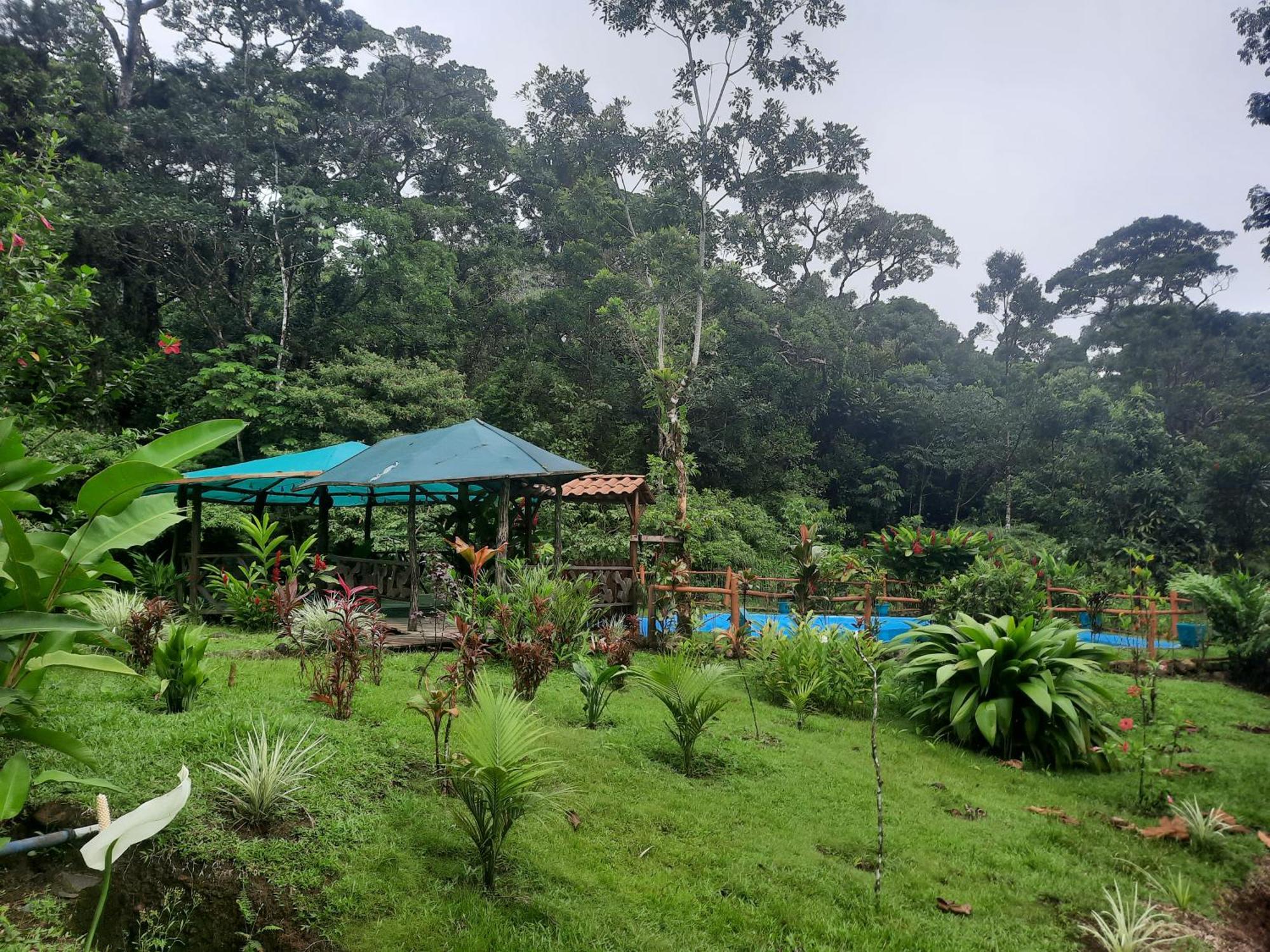 Oski Lodge, Rain Forest Rincon De La Vieja Upala 外观 照片
