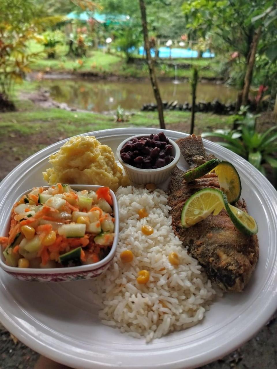 Oski Lodge, Rain Forest Rincon De La Vieja Upala 外观 照片