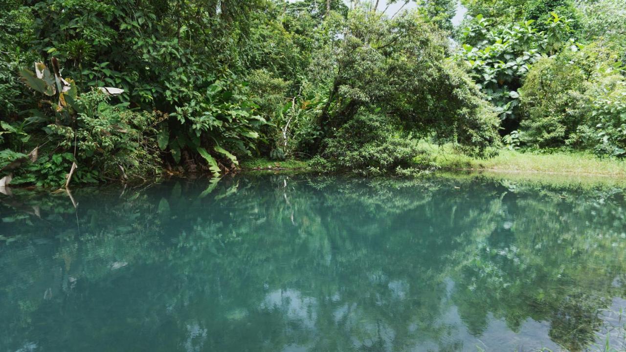 Oski Lodge, Rain Forest Rincon De La Vieja Upala 外观 照片